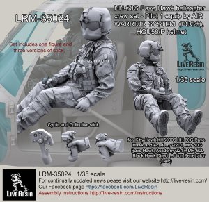 画像1: Live Resin[LRM35024]1/35 HH-60G Pave Hawk helicopter crew set - Pilot 1 (1)