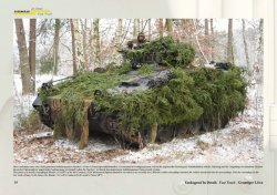 画像4: Tankograd[TG-FT13]ドイツ連邦軍の最新偽装、マーキングと兵士