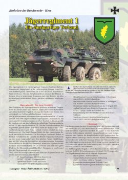 画像4: Tankograd[MFZ4/2013］ミリターフォールツォイク　2013年4号