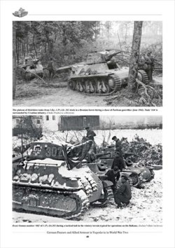 画像3: Tankograd[Panzer_In Yugoslavia]WWII時のユーゴスラビアにおけるドイツ軍戦車と連合軍車両