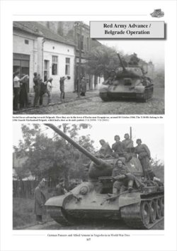 画像5: Tankograd[Panzer_In Yugoslavia]WWII時のユーゴスラビアにおけるドイツ軍戦車と連合軍車両