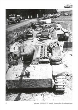 画像5: Tankograd[TG-WH 4007]Sturmgesch?tz III
