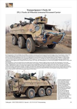 画像4: Tankograd[MFZ-S 5031]アフガン派遣部隊のドイツ軍砂漠迷彩
