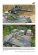 画像4: Tankograd[MFZ-S 5079]ドイツ連邦軍 イーグルV装甲汎用指揮車 (4)