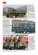 画像5: Tankograd[TG-MM 7029］中国人民解放軍 車両写真集 (5)