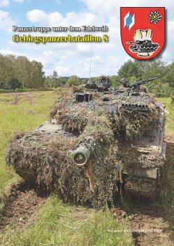 画像3: Tankograd[MFZ3/2020]ミリターフォールツォイク 2020年 3号