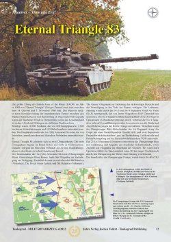 画像4: Tankograd[MFZ 4/2022]ミリターフォールツォイク 2022年 4号