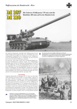 画像2: Tankograd[MFZ4/2021]ミリターフォールツォイク 2021年 4号 20周年特別エディション