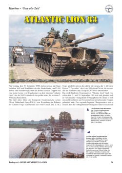 画像3: Tankograd[MFZ4/2021]ミリターフォールツォイク 2021年 4号 20周年特別エディション