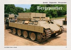 画像3: Tankograd[PANTHER_C&D]パンターG型/ヤークトパンター/ベルゲパンター カラー&ディテール写真集