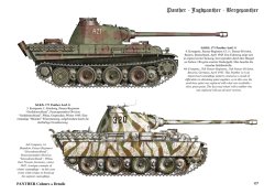 画像2: Tankograd[PANTHER_C&D]パンターG型/ヤークトパンター/ベルゲパンター カラー&ディテール写真集