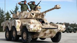 画像6: タイガーモデル[TM-4632]1/35 現用仏 パナール ERC-90 F1 リンクス