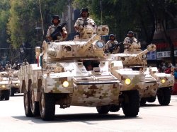 画像5: タイガーモデル[TM-4632]1/35 現用仏 パナール ERC-90 F1 リンクス