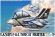画像1: タイガーモデル[TML222]キュートファイターシリーズ：米海軍 F-14A トムキャット (1)