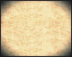 画像6: ウッシ[USC1005]細かい木目のベニヤ（４パターン）