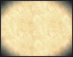 画像7: ウッシ[USC1005]細かい木目のベニヤ（４パターン）