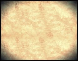 画像8: ウッシ[USC1005]細かい木目のベニヤ（４パターン）