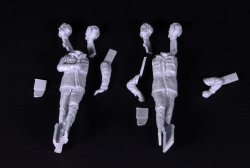画像3: Valkyrie Miniature[VM35012]1/35 現用 ドイツ連邦軍戦車兵セット 1990-2000年代(2体入)