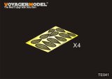 VoyagerModel [TE041]FERN(PATTEN1)