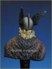 画像3: Young Miniatures[YH1810]1/10  紀元前52年 ガリア戦争のウェルキンゲトリクス