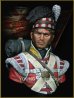 画像1: Young Miniatures[YH1826]1/10  第92ゴードン・ハイランダーズ連隊 1815年 (1)