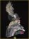 画像5: Young Miniatures[YH1828]1/10  紀元前6世紀ハルシュタット ケルトの戦士 (5)
