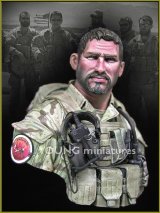 Young Miniatures[YM1830]1/10 現用 アメリカ海軍 ネイビーシールズ アフガニスタン2005