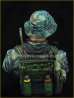 画像4: Young Miniatures[YM1845]1/10 ベトナム戦争 アメリカ海軍 ネイビーシールズ