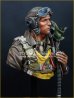 画像6: Young Miniatures[YM1856]1/10 WWIIアメリカ陸軍航空隊戦闘機パイロット 1944