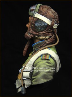 画像3: Young Miniatures[YM1878]1/10 WWIIソビエト夜間爆撃機連隊「ナイトウィッチーズ」