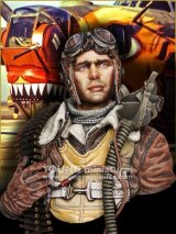 Young Miniatures[YM1894]1/10 WWII胸像 アメリカ陸軍航空隊 B-24重爆撃機搭乗員 機銃手