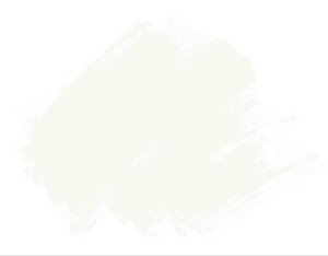 画像1: ターナー色彩[AG020300]白胡粉（しろごふん） (1)