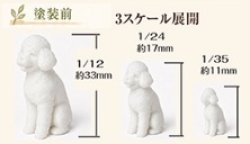 画像2: アスカモデル[TP-135-01]スタジオユーワ 1/35 トイプードル おすわり