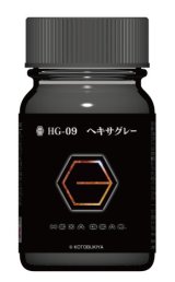 ガイアノーツ[HG-09]ヘキサグレー  半光沢