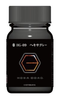 ガイアノーツ[HG-09]ヘキサグレー  半光沢
