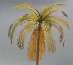 画像1: 紙創り[Ａ-15]ヤシの葉