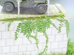画像1: 紙創り[Ａ-24]アイビー