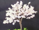 紙創り[Ａ-27]桜