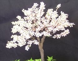 画像1: 紙創り[Ａ-27]桜