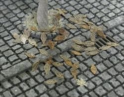 画像1: 紙創り[B-6]枯葉雑木（茶）