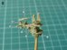 画像3: Live Resin[LRE35244]1/35  H&K GMG40mm擲弾発射器&銃架