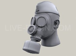 画像5: Live Resin[LRE35270]1/35  PMG-2ガスマスク着用ヘッド(2)(6個)