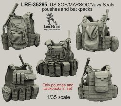 画像1: Live Resin[LRE35295]1/35  米特殊部隊 ポーチセット(9種各2個)