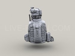 画像6: Live Resin[LRM35003]1/35  現用米陸軍歩兵(3)HK416装備