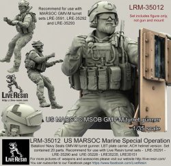 画像1: Live Resin[LRM35012]1/35  現用米特殊部隊(3)ネイビーシールズ