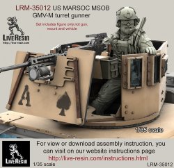 画像2: Live Resin[LRM35012]1/35  現用米特殊部隊(3)ネイビーシールズ