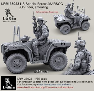 画像1: Live Resin[LRM35022]1/35　現用米特殊部隊(13)MV850ライダー (1)