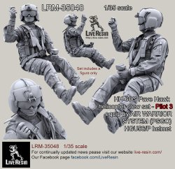 画像2: Live Resin[LRM35048]1/35 HH-60G Pave Hawk helicopter crew set - Pilot 3 equip by AIR WARRIOR SYSTEM (PSGC), HGU56/P helmet