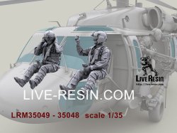 画像4: Live Resin[LRM35049]1/35 HH-60G Pave Hawk helicopter crew set - Pilot 4 equip by AIR WARRIOR SYSTEM (PSGC), HGU56/P helmet