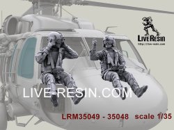 画像5: Live Resin[LRM35049]1/35 HH-60G Pave Hawk helicopter crew set - Pilot 4 equip by AIR WARRIOR SYSTEM (PSGC), HGU56/P helmet